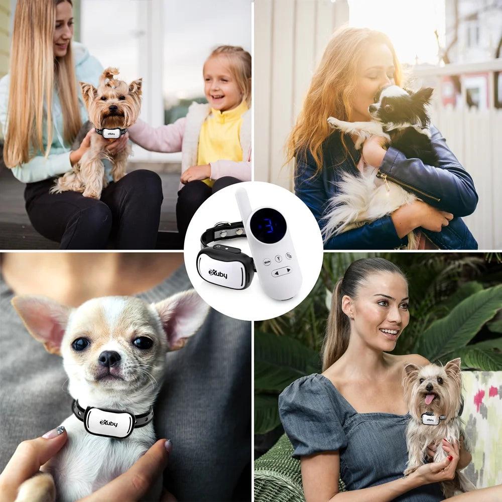 Tiny Shock Collar for Small Dogs 5-15lbs with Remote R889