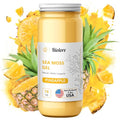 Sea Moss Gel Pineapple 16Oz Z632