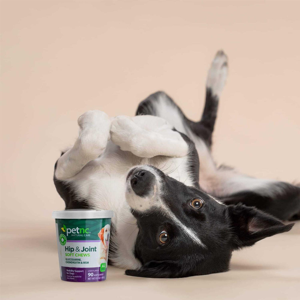 Hip and Joint Soft Chews for Dogs B845641