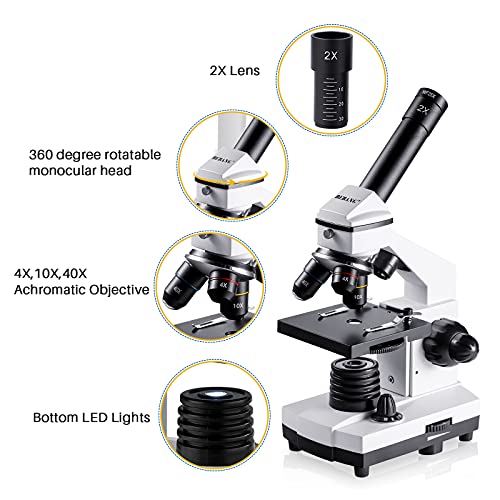 100X-2000X Compound Microscope with Slides X530