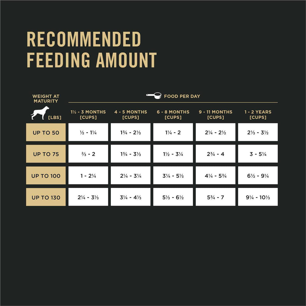 Chicken & Rice Formula Large Breed Dry Puppy Food Y695016