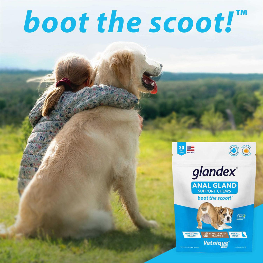 Anal Gland Soft Chews Supplement for Dogs S286