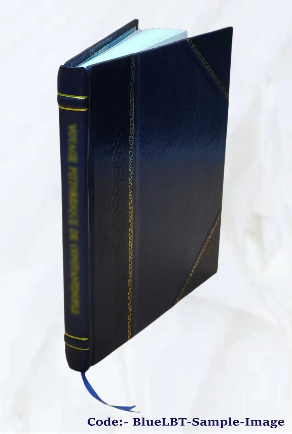 Leather Bound Book X875