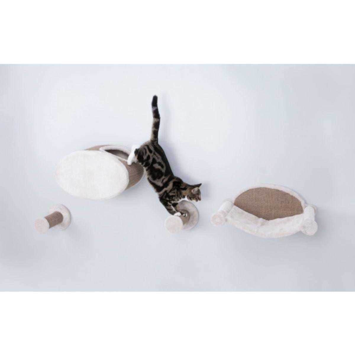 Wall Mounted Cat Lounge Set Hammock and Condo with Two Steps V21469