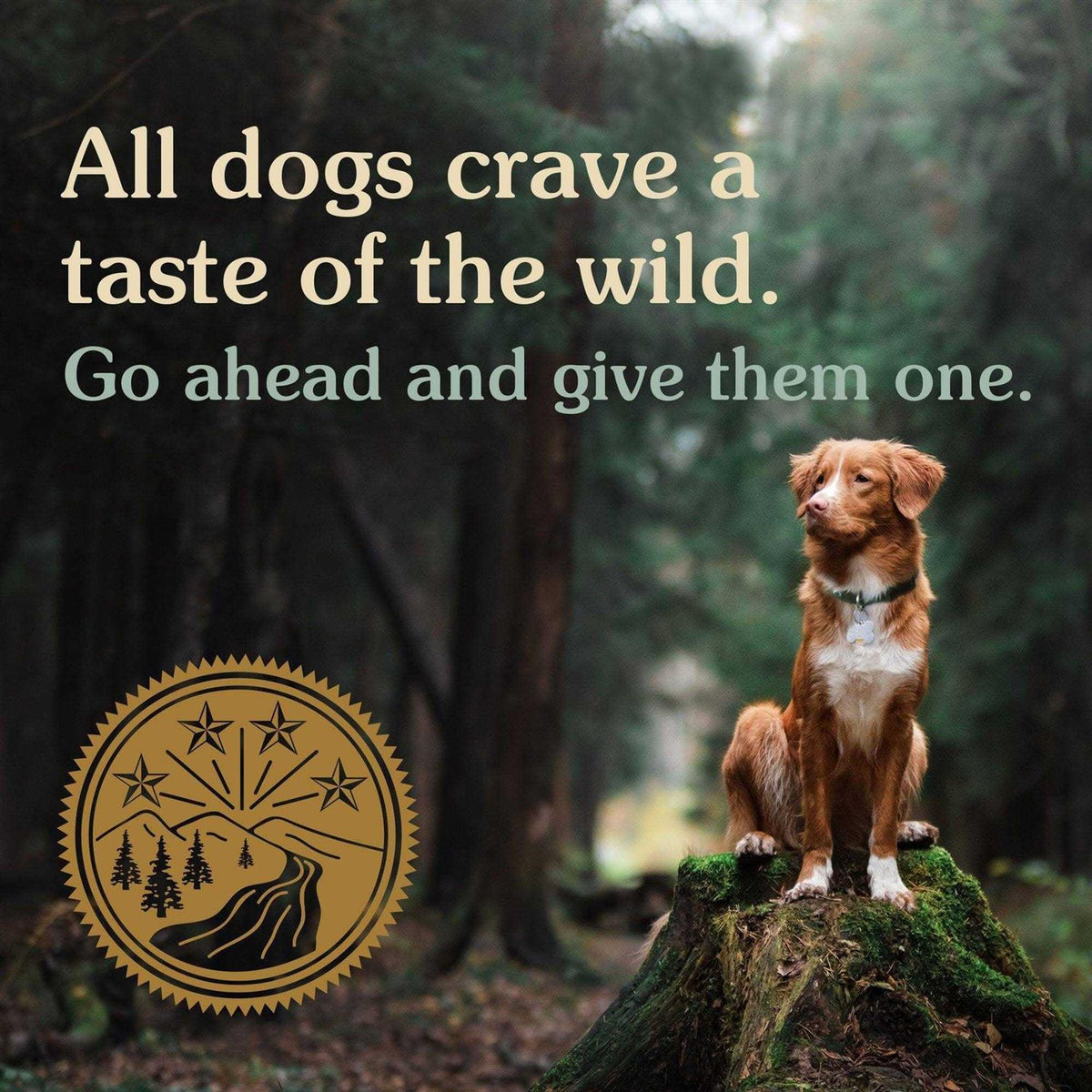 Dog Food P45514