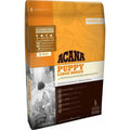 Large Breed Puppy Pet Supplies E512