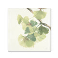 Canvas Art Y18259