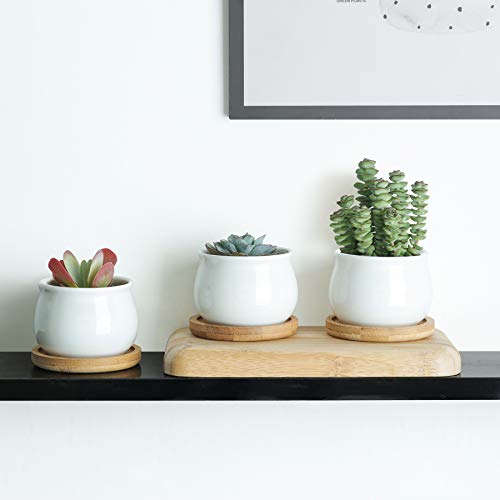 White Ceramic Mini Succulent Pots with Bamboo Trays Set of 6 G4844