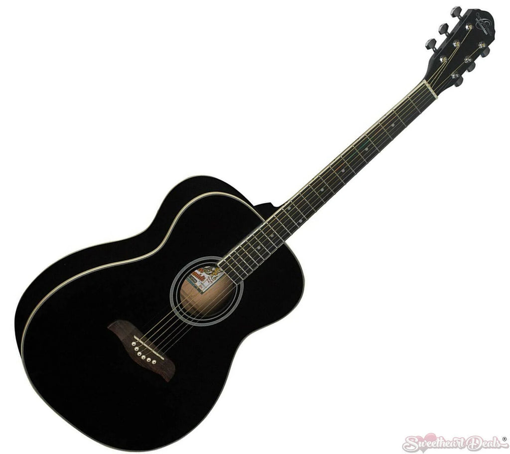 Black Acoustic Guitar T1650