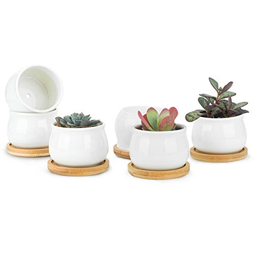 White Ceramic Mini Succulent Pots with Bamboo Trays Set of 6 G4844