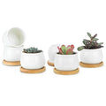 White Ceramic Mini Succulent Pots with Bamboo Trays Set of 6 G4844