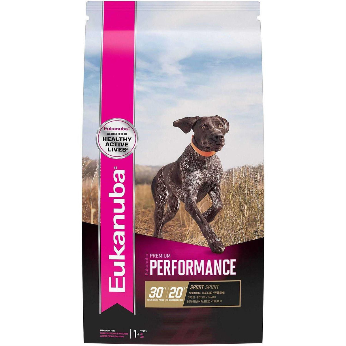 Dry Dog Food Y512566