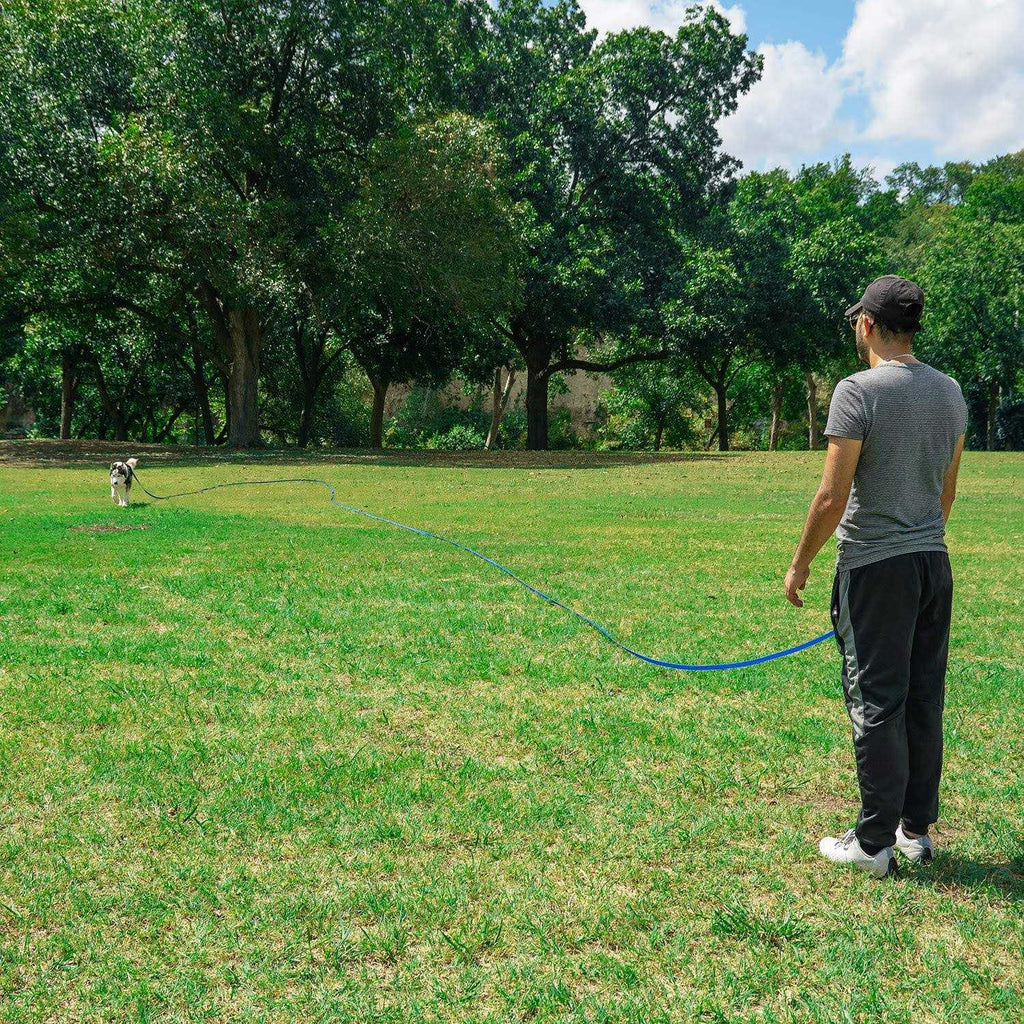 Dog Puppy Training Leash 15ft 20ft 30ft 50ft 100ft D67355