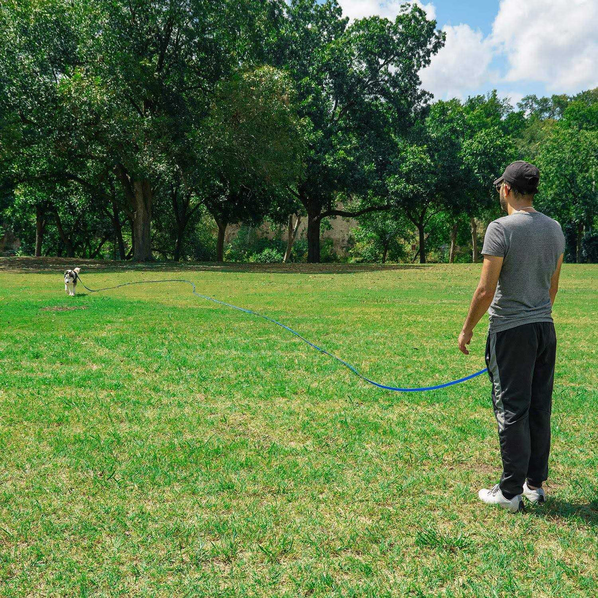 Dog Puppy Training Leash 15ft 20ft 30ft 50ft 100ft D67355