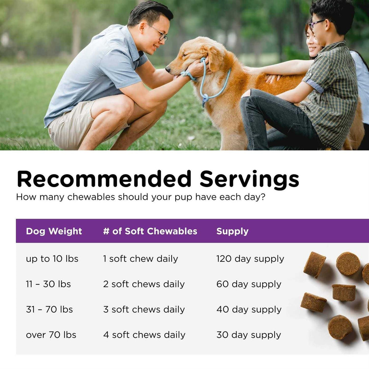 Pre and Probiotic Soft Chews for Dogs K696376