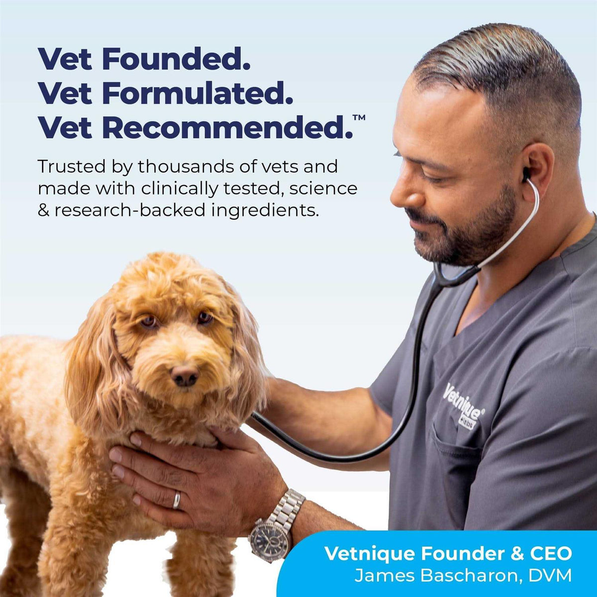 Anal Gland Support Powder for Dogs & Cats Z1328