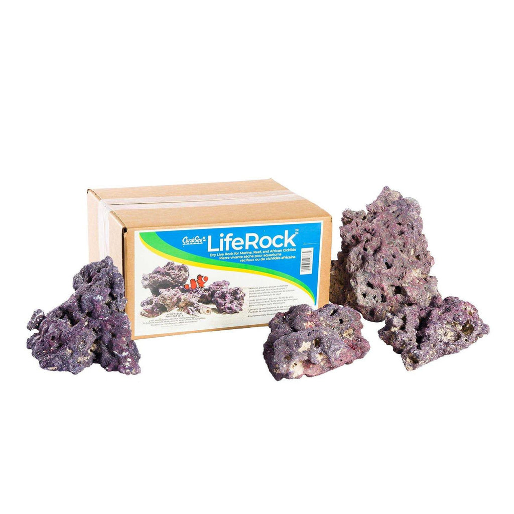 LifeRock Z7004