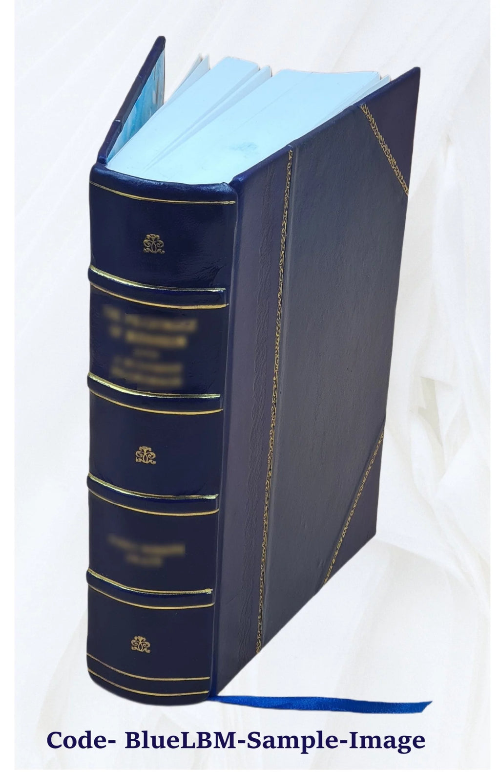 Leather Bound Book I218309