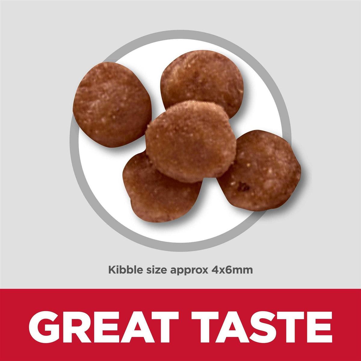 Indoor Kitten Dry Cat Food I539153