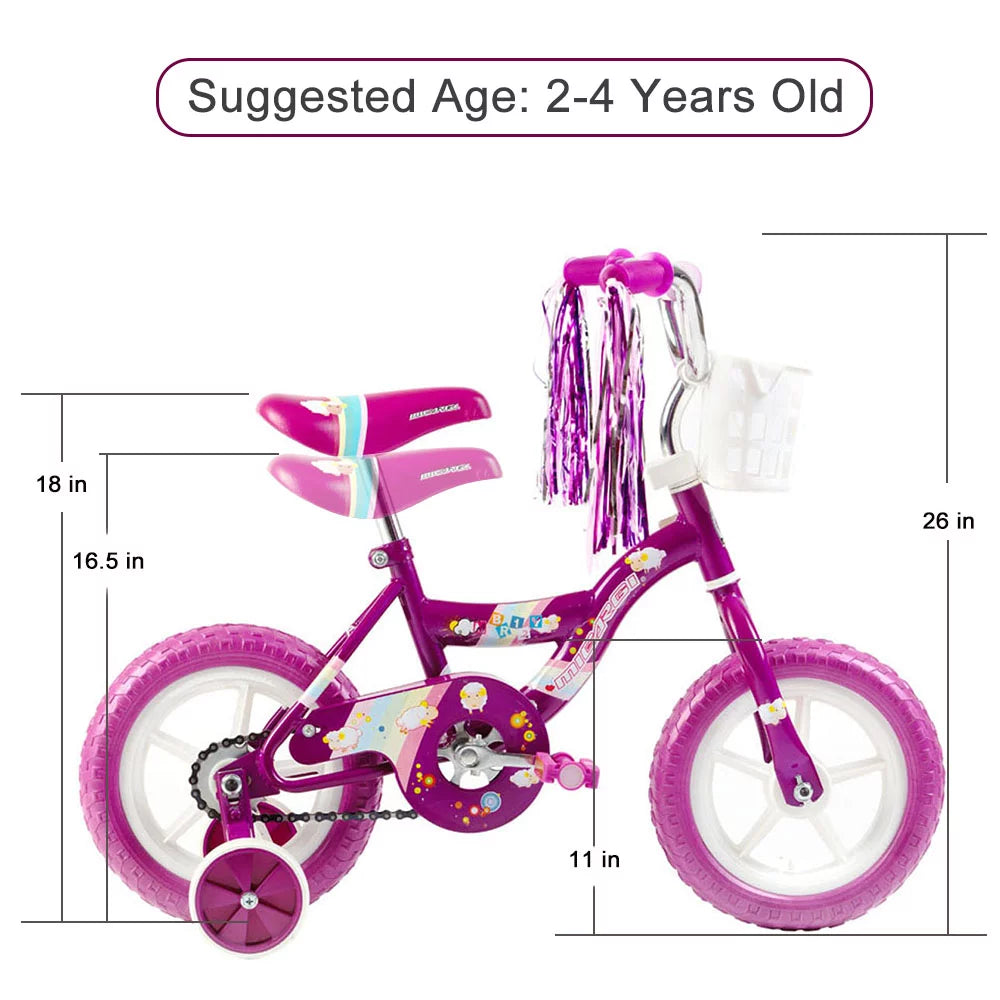 2 Kid's BMX Bicycle with Coaster Brake and Training Wheels A1225