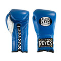 16 oz Electric Blue Training Gloves D3233