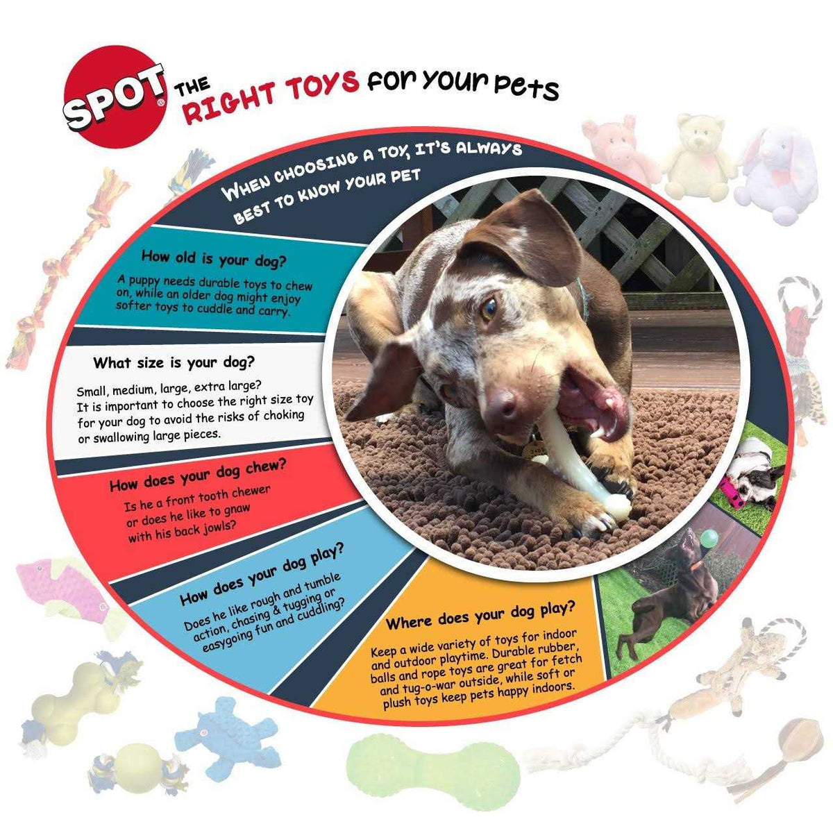 Bone Dog Toy T88626