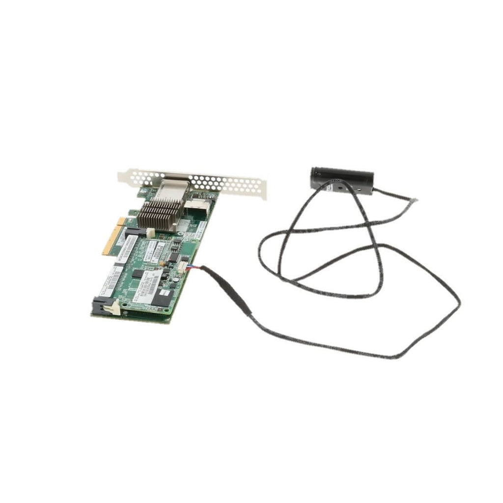 SAS Controller P5591