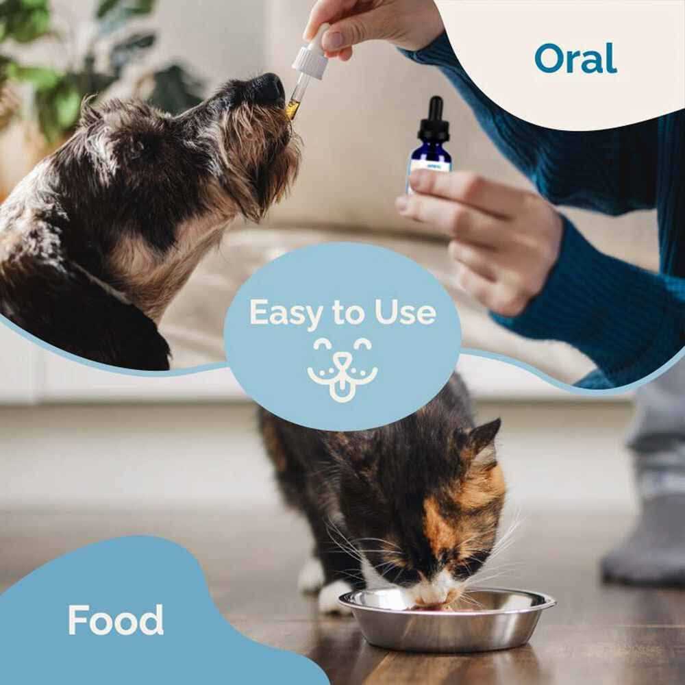 Respiratory Support Supplement for Dogs & Cats M4297