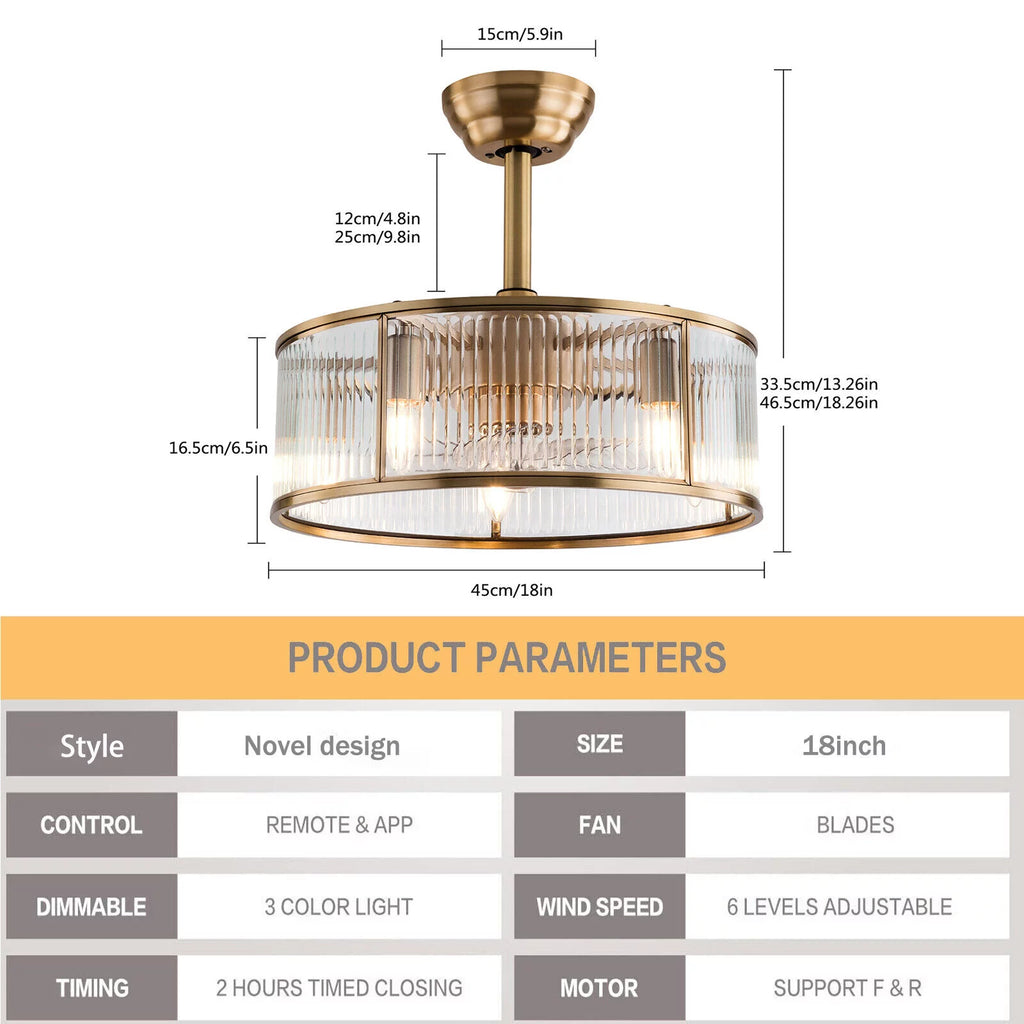 18inch Caged Ceiling Fan Light with Remote Control Q997870