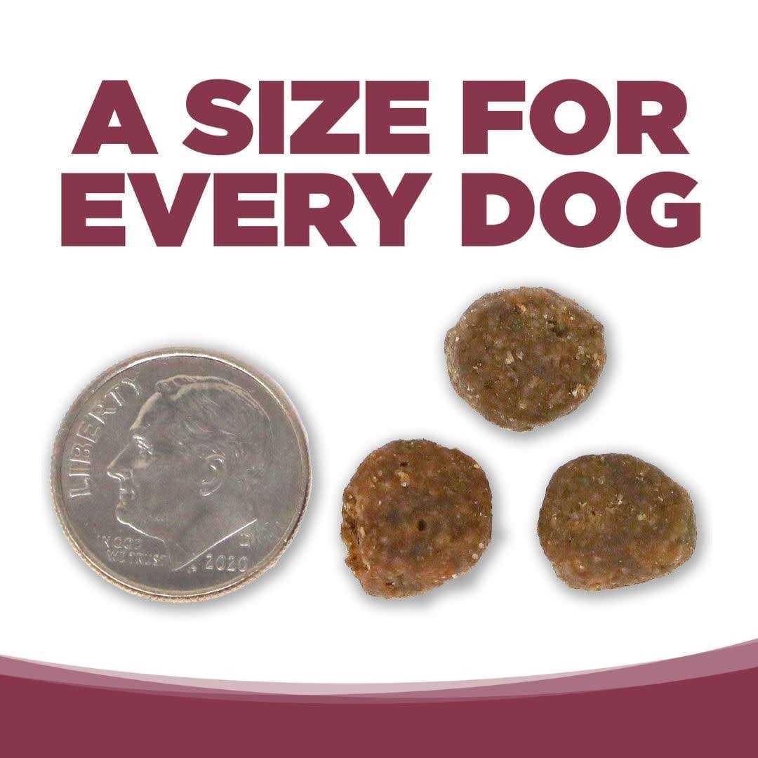 Salmon Potato Dry Dog Food P8840