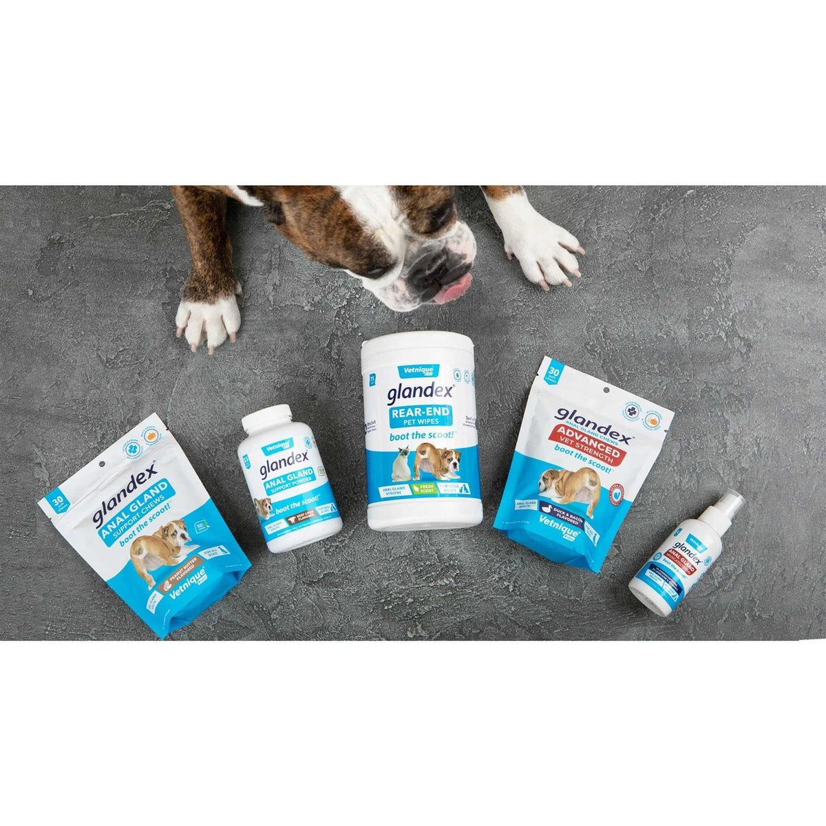 Anal Gland Support Powder for Dogs & Cats Z1328