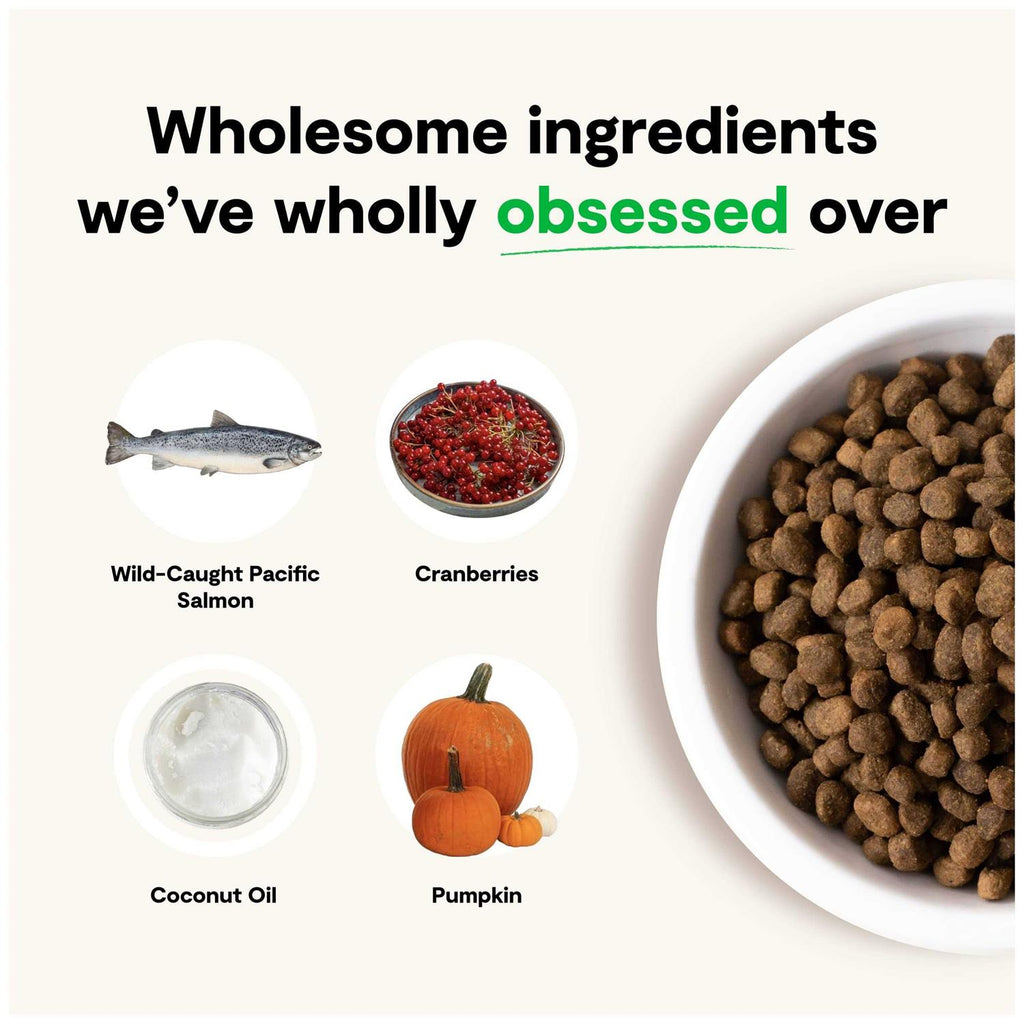 Grain-Free Wild-Caught Salmon Dry Dog Food K3717