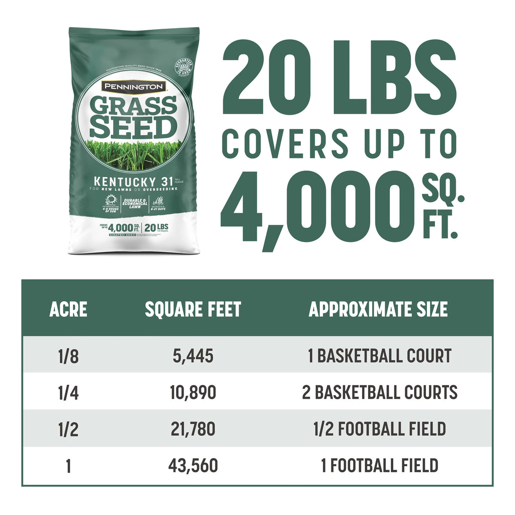 Kentucky 31 Tall Fescue Grass Seed, 20 lb. X322733