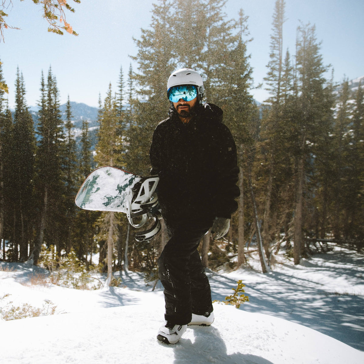 Ski/Snowboard Goggles Q73245