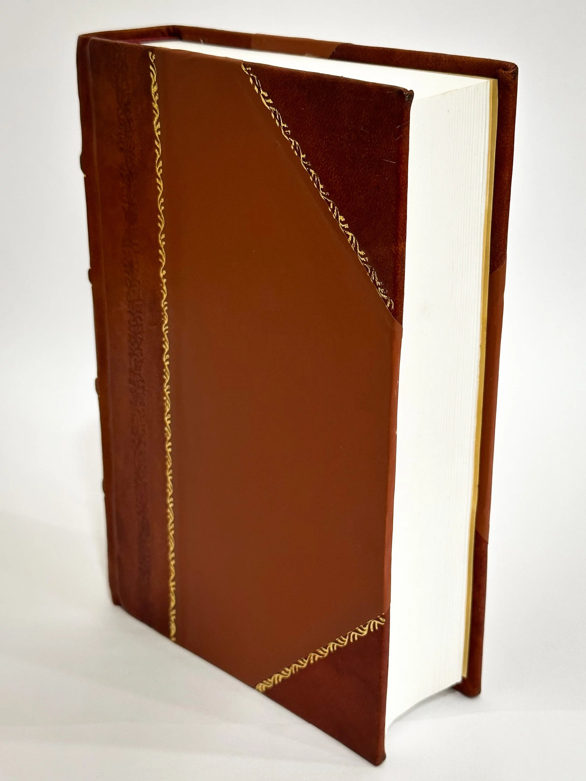 Homeopathic Domestic Physician Leather Bound Z30217