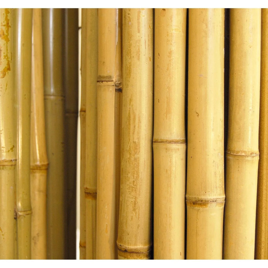 Natural Bamboo Fencing Garden Screen Rolled Fence Panel 3/4 D x 4' H x 8' L N557531