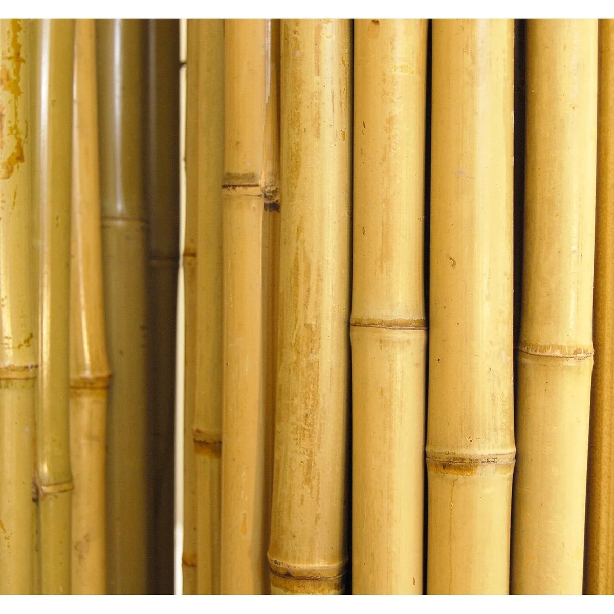 Natural Bamboo Fencing Garden Screen Rolled Fence Panel 3/4 D x 4' H x 8' L N557531