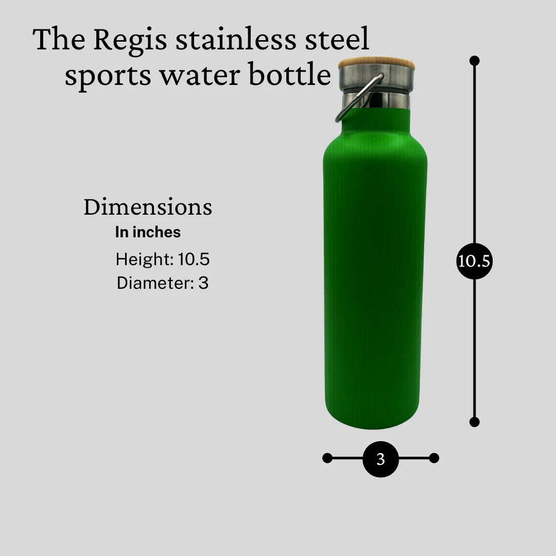 LIME Stainless Steel Sports Water Bottles 25oz H920