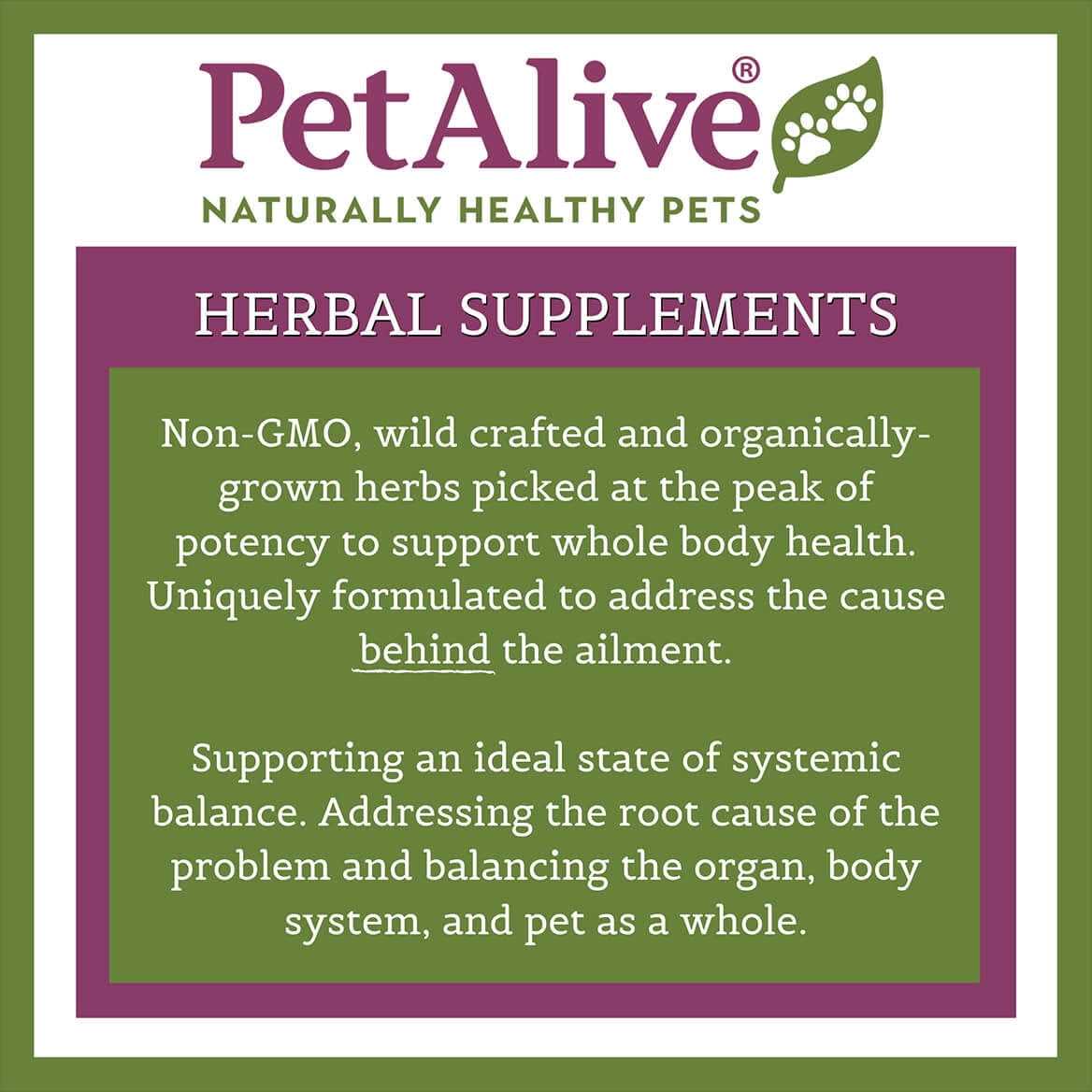 Pet Supplies F406331