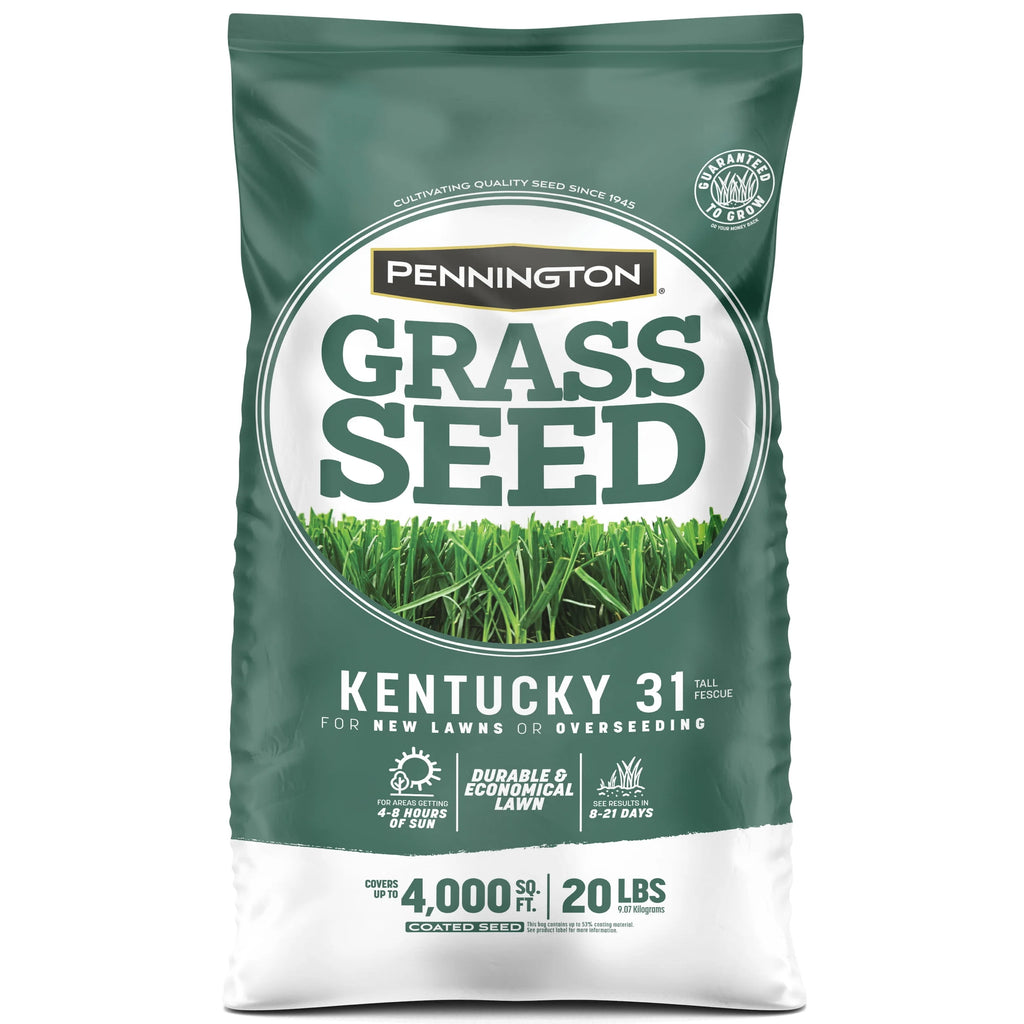 Kentucky 31 Tall Fescue Grass Seed, 20 lb. X322733