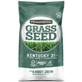 Kentucky 31 Tall Fescue Grass Seed, 20 lb. X322733
