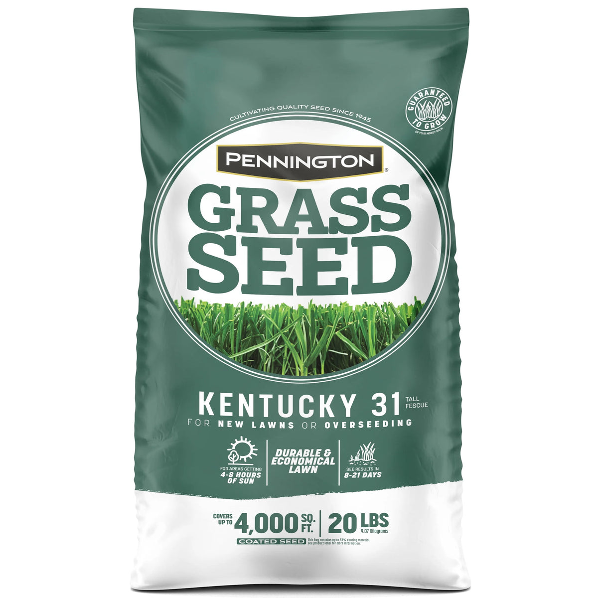 Kentucky 31 Tall Fescue Grass Seed, 20 lb. X322733