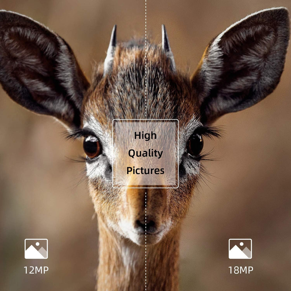 2 Pack 18MP 1080P Game Hunting Scouting Camera with 3 Infrared Sensors Motion Activated Night Vision 2.4" LCD H7539