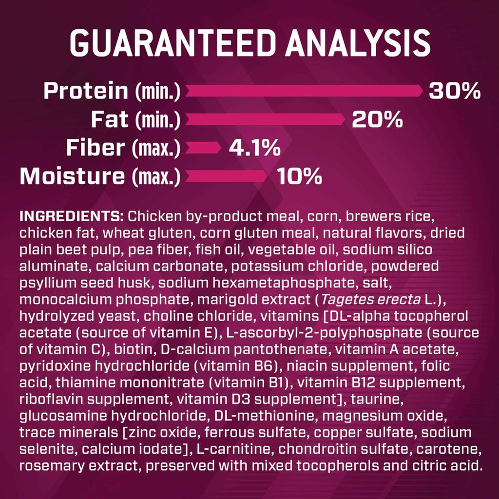 Dry Dog Food Y512566