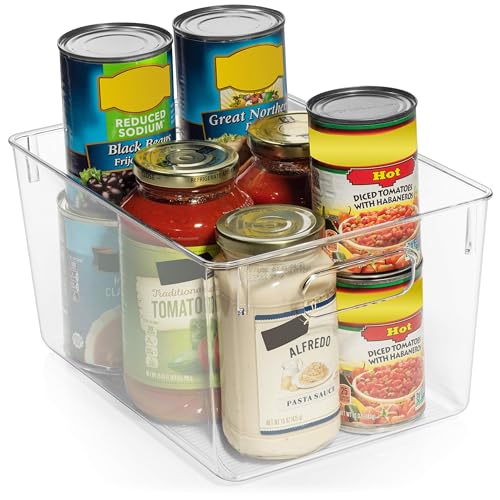 Clear Plastic Storage Bins X146