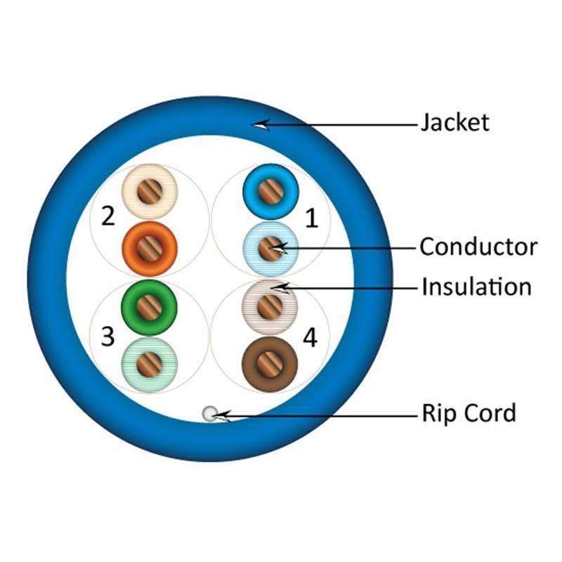 1000ft Blue Bulk Ethernet Cable C6902