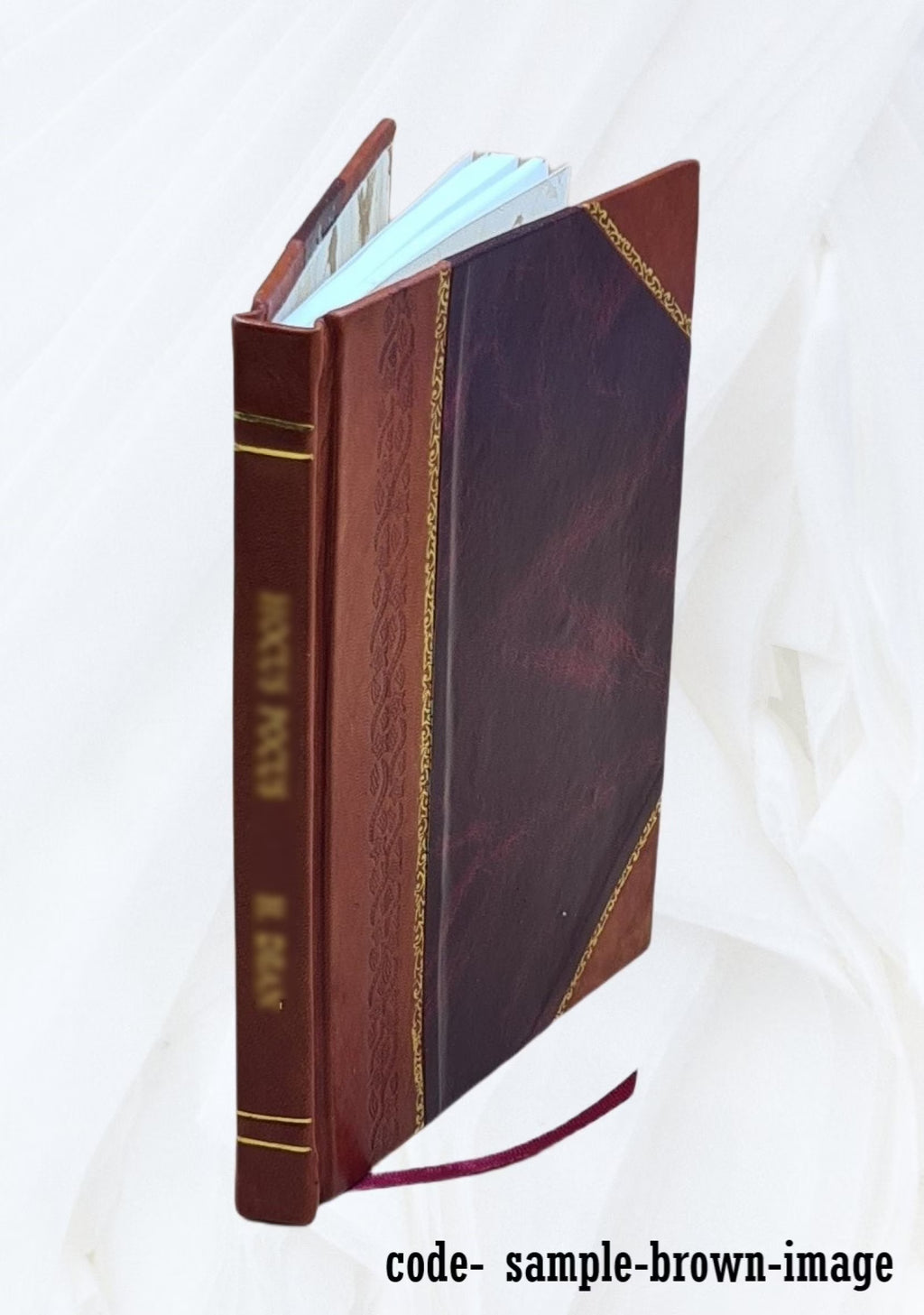 Leather Bound Book X875
