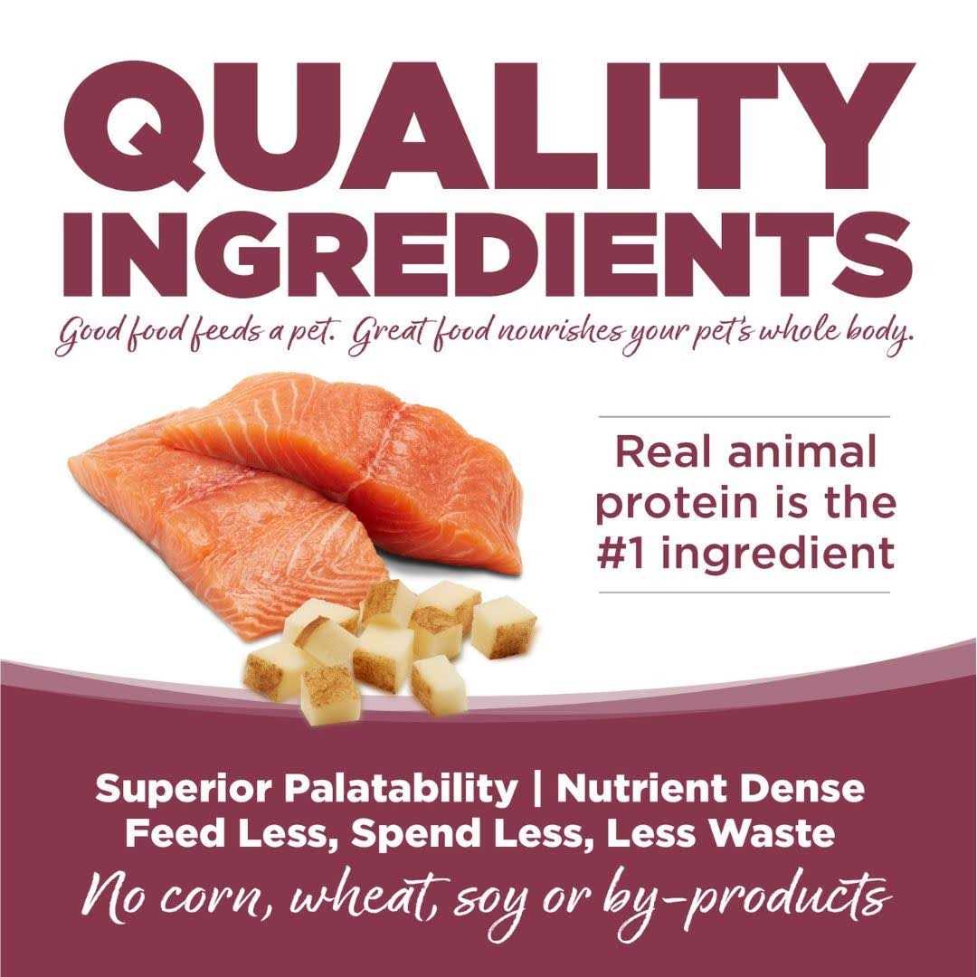 Salmon Potato Dry Dog Food P8840