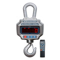 Crane Scale 6000 lb Capacity F878