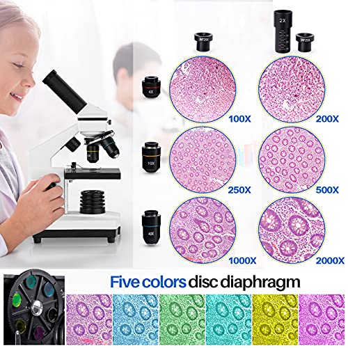 100X-2000X Compound Microscope with Slides X530